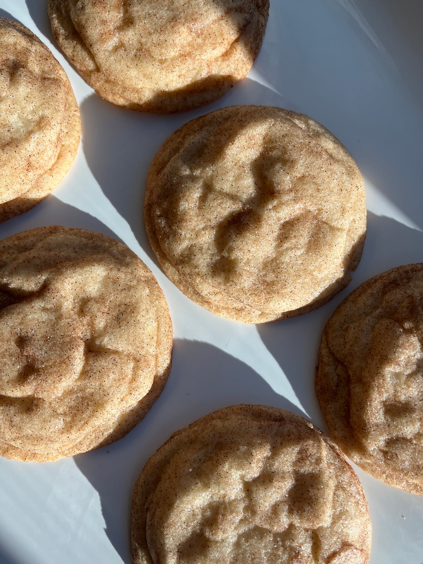 Snickerdoodle Cookie